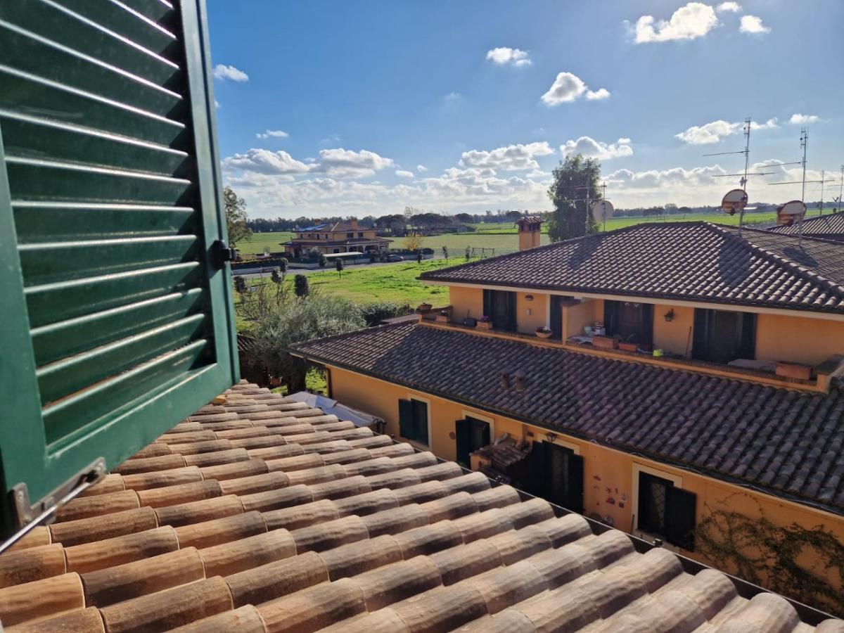 Casa Elsa Appartement Palidoro Buitenkant foto